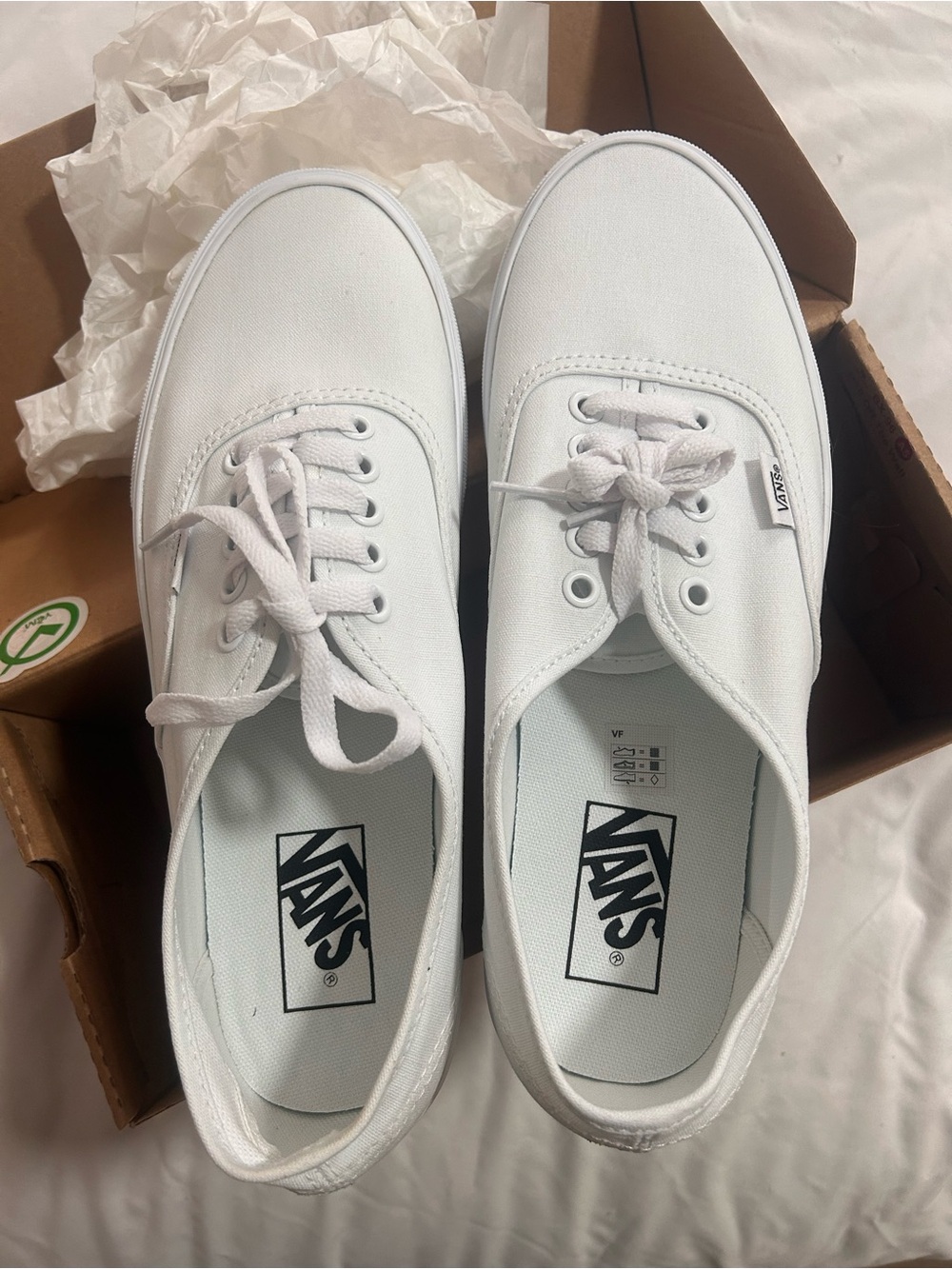 Vans White Canvas Low-Top Sneakers for Men